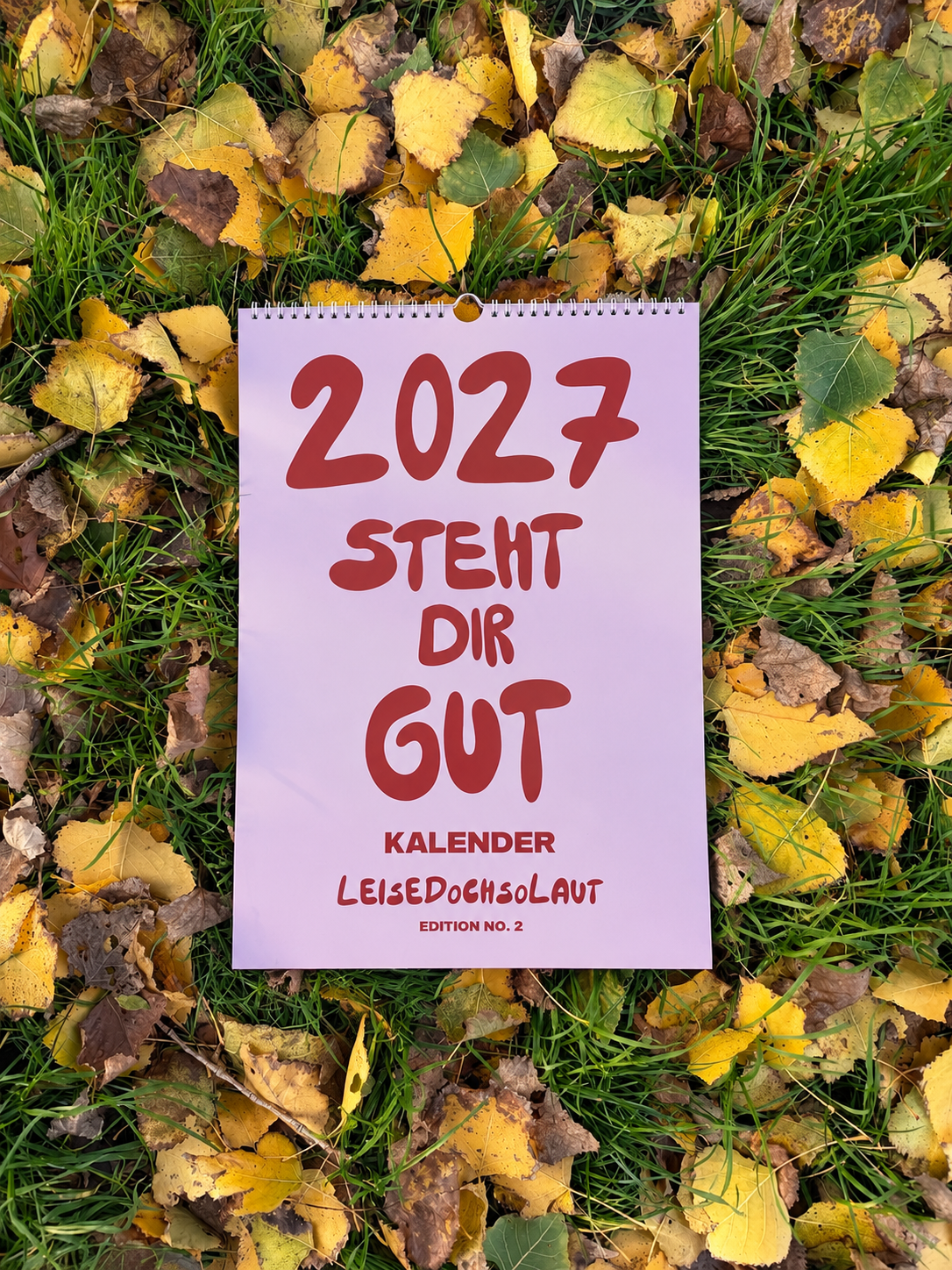 2027 STEHT DIR GUT – Wandkalender A3