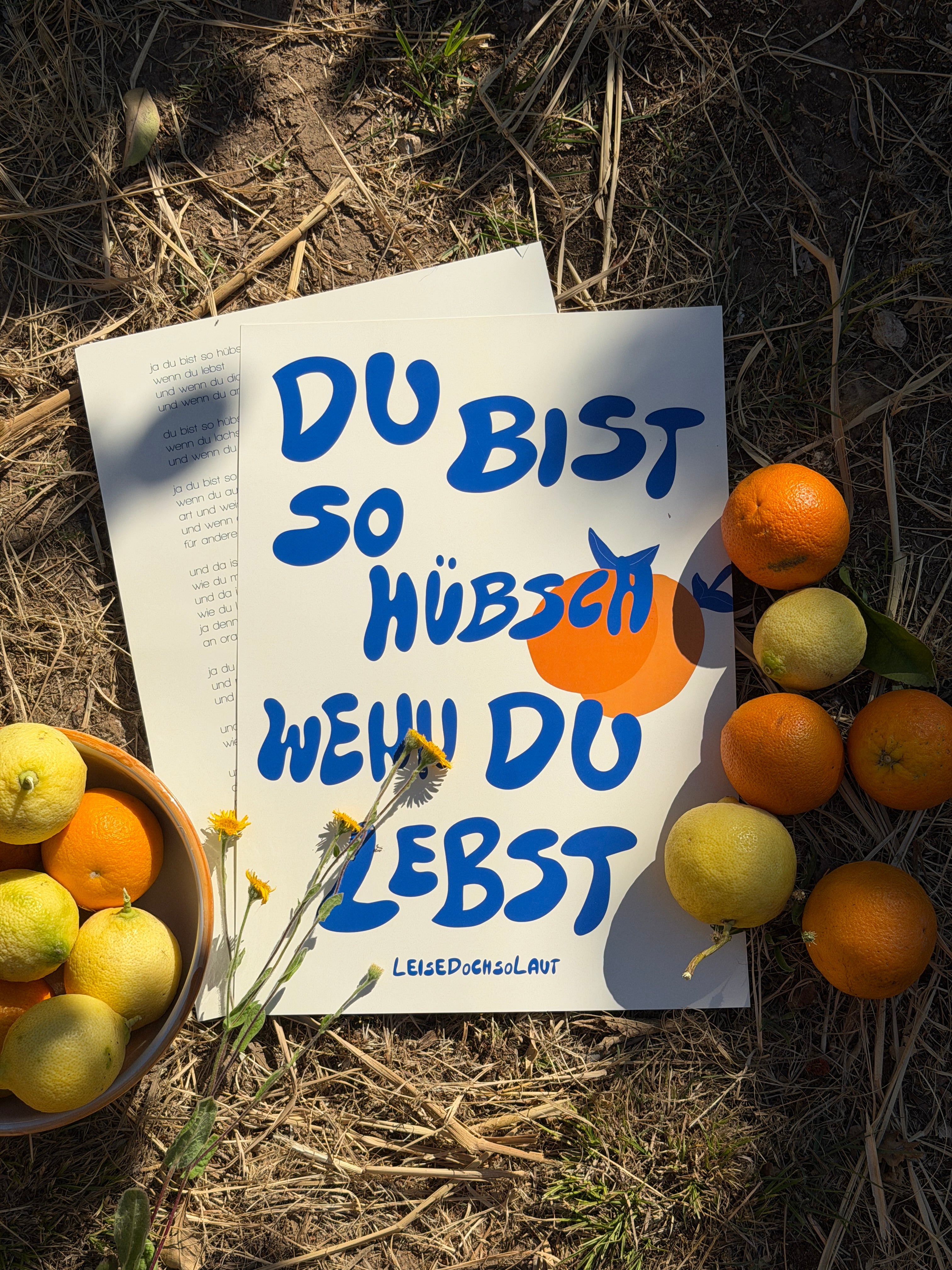 DU BIST SO HÜBSCH - POSTER (A3)
